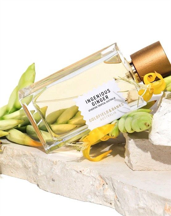 Ingenious Ginger Parfume - 100 ml 